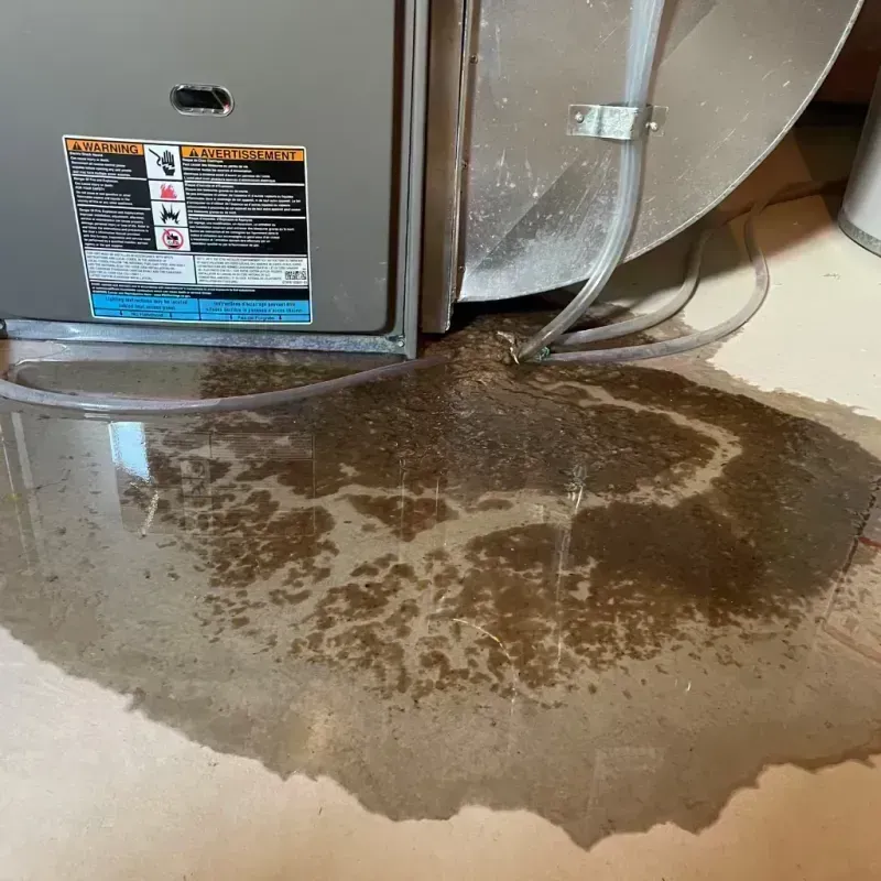 Appliance Leak Cleanup in Boone County, KY